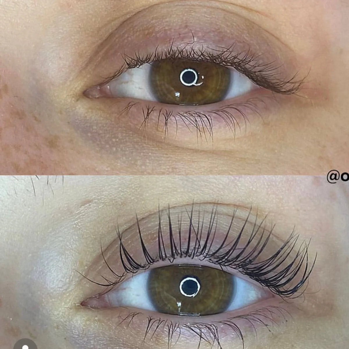 PHATLASH Brow Lamination & Lash Lifting Kit