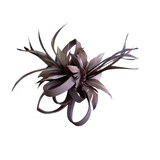 Coffee Brown Feather Looped Hair Clip Fascinator