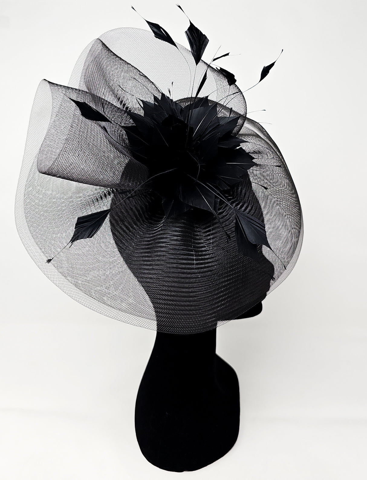 Black Feather Fascinator With Net Halo