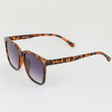 Classic Tinted Wayfarer Sunglasses