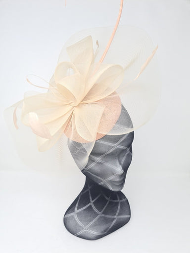 Apricot Pillbox Netted Fascinator - Franklins