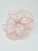 Blush Pink Fascinator - Franklins