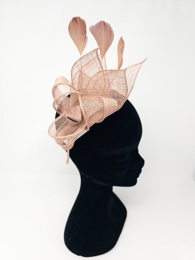 Dark Rose Knot Feather Fascinator - Franklins