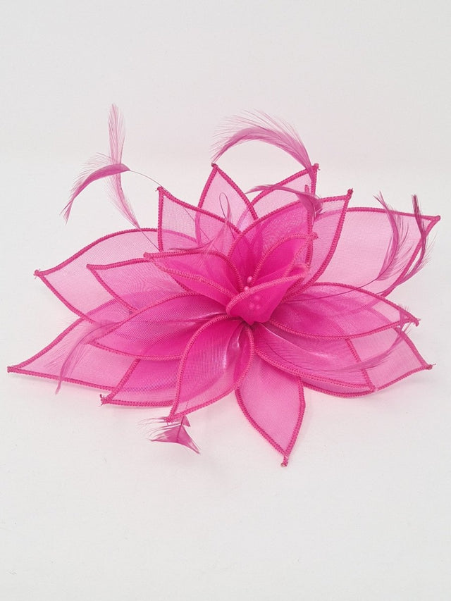 Fuchsia Fascinator Clip - Franklins