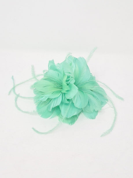 Mint Green Feather Slide Fascinator - Franklins