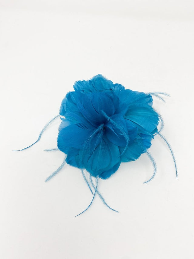 Peacock Feather Slide Fascinator - Franklins