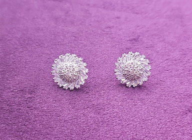 Silver Diamanté Stud Earrings - Franklins