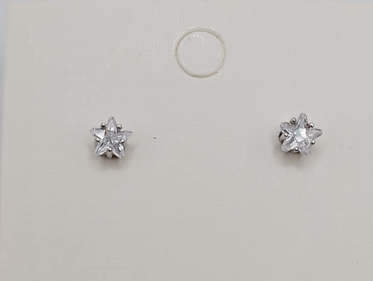 Silver Star Stud Earring - Franklins