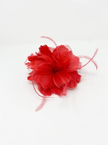 Tabasco Feather Slide Fascinator - Franklins