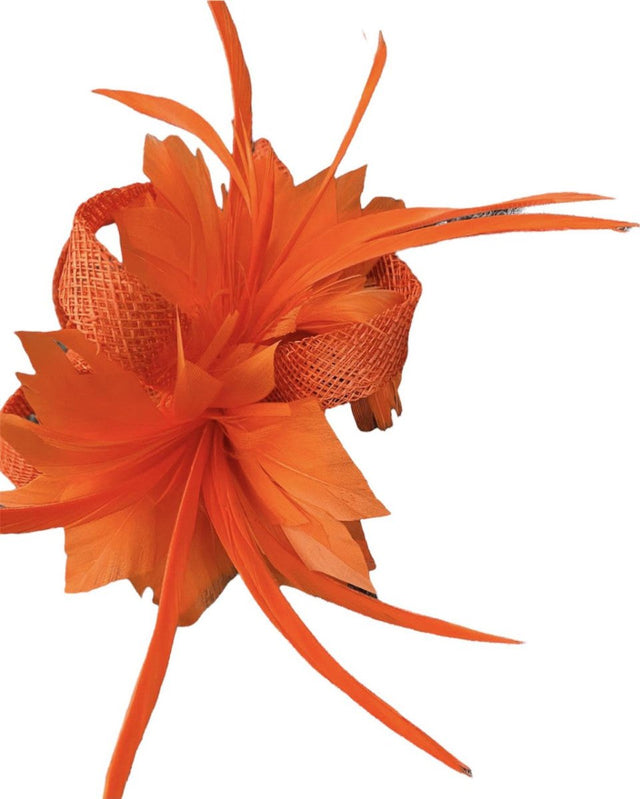 Tango Orange Feather Slide Hair Clip - Franklins