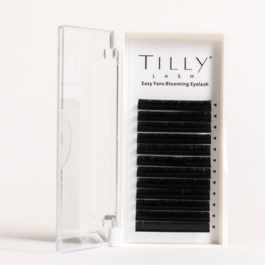 Tilly Lash Easy Fan Mixed Tray 0.05D - Franklins