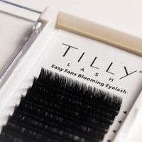 Tilly Lash Easy Fan Mixed Tray 0.05D - Franklins